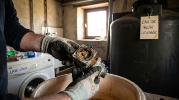 J'ai branché ma cuve d'eau de pluie sur le lave-linge juste pour arrêter de payer l'eau du réseau : à la fin de l'été, j'a...