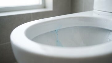 Mon réservoir de WC ne fait pas le moindre bruit depuis deux ans : le jour où j'ai regardé le fond de la cuvette, j'ai vu ...